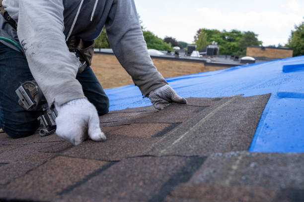 Quick and Trustworthy Emergency Roof Repair Services in Lavon, TX