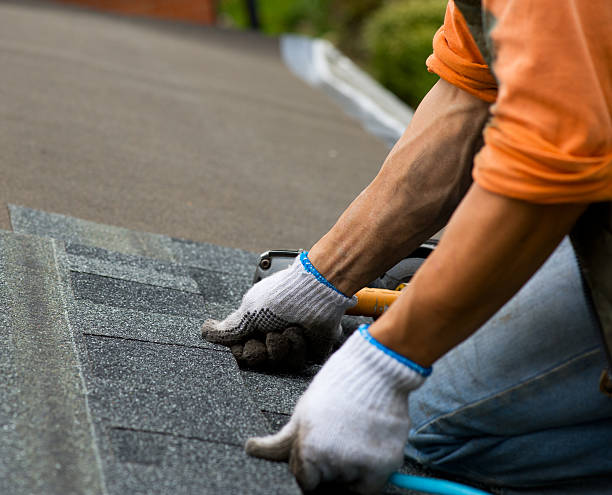 Best Storm Damage Roof Repair  in Lavon, TX